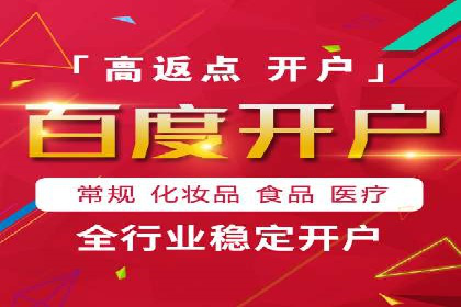 成功案例：一家初创企业如何通过百度关键词推广快速崛起