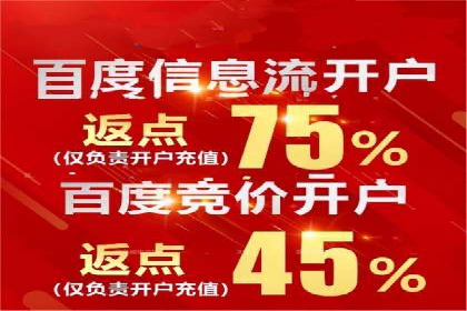 信息流广告的崛起：以某电商平台为例